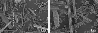 Customized Design 3D Printed PLGA/Calcium Sulfate Scaffold Enhances Mechanical and Biological Properties for Bone Regeneration